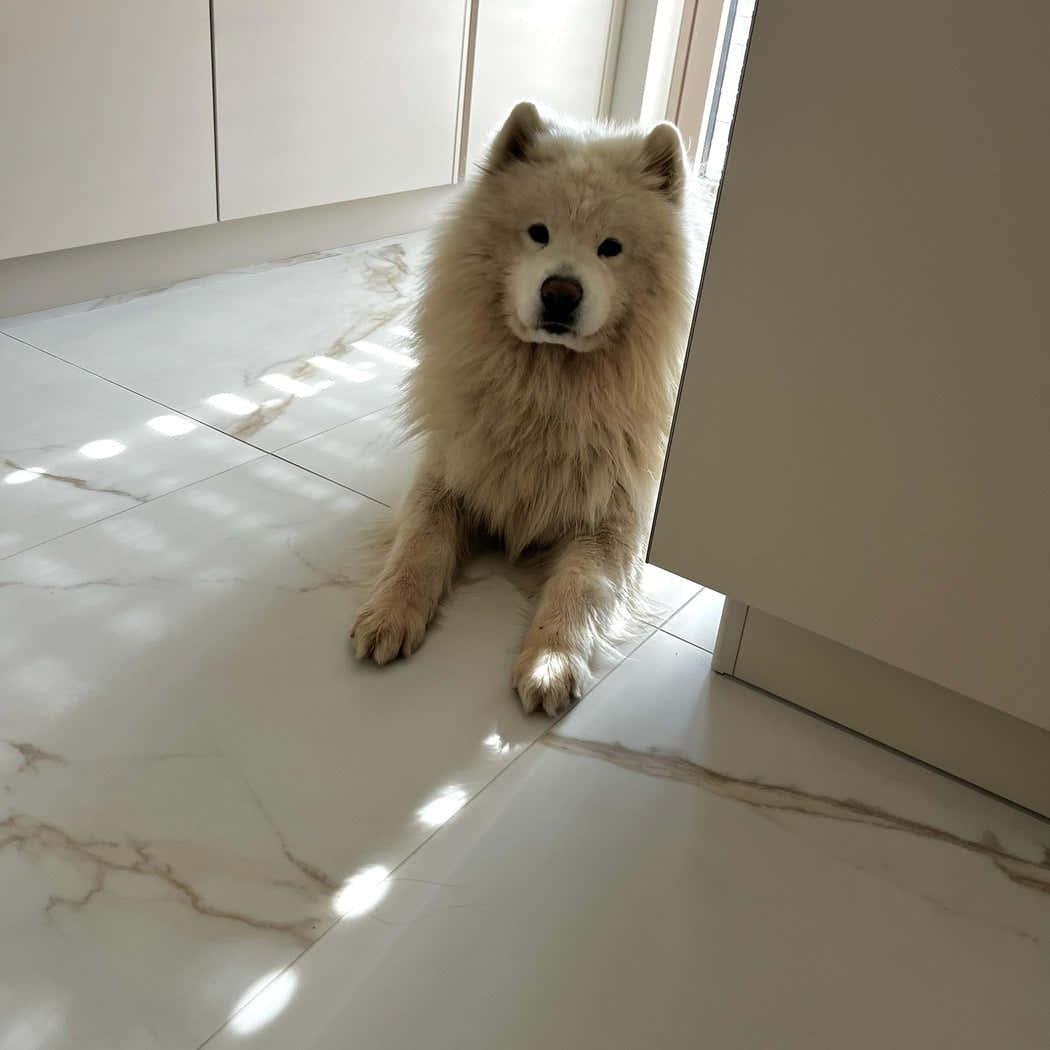 Detail velkoformátové mramorové dlažby 60x120 cm v matném provedení v moderní kuchyni