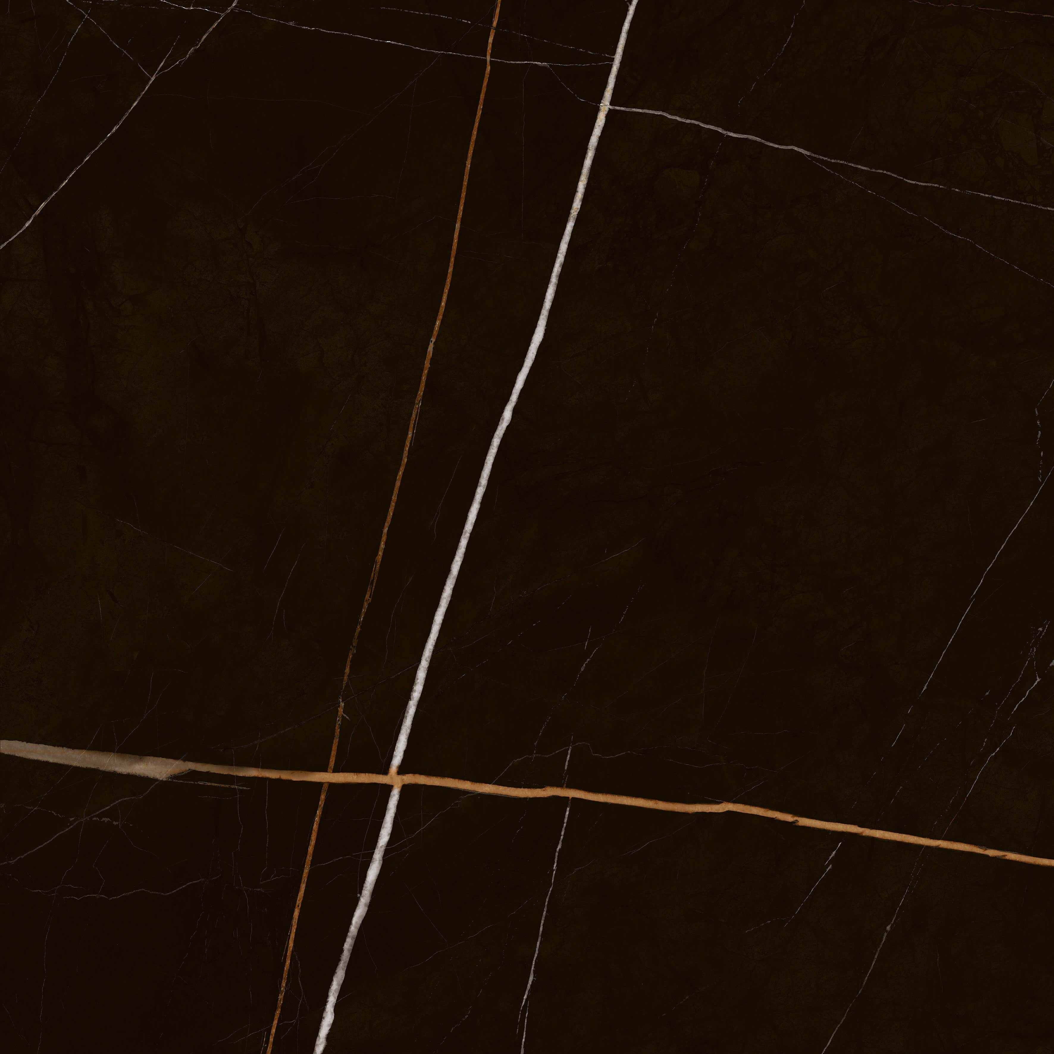 Luxusní sahara Noir dlažba – černý kámen s výraznými bílými a zlatými žilami