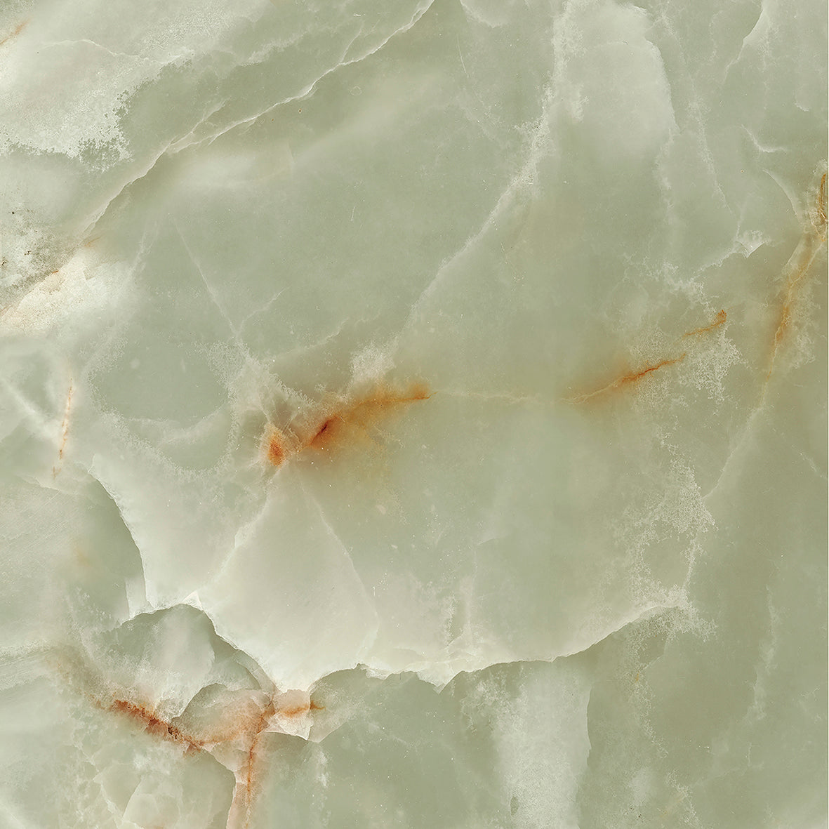 Jewel Onyx Giada